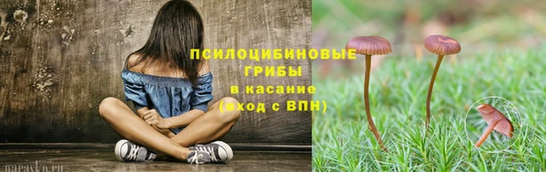 стафф Вязники